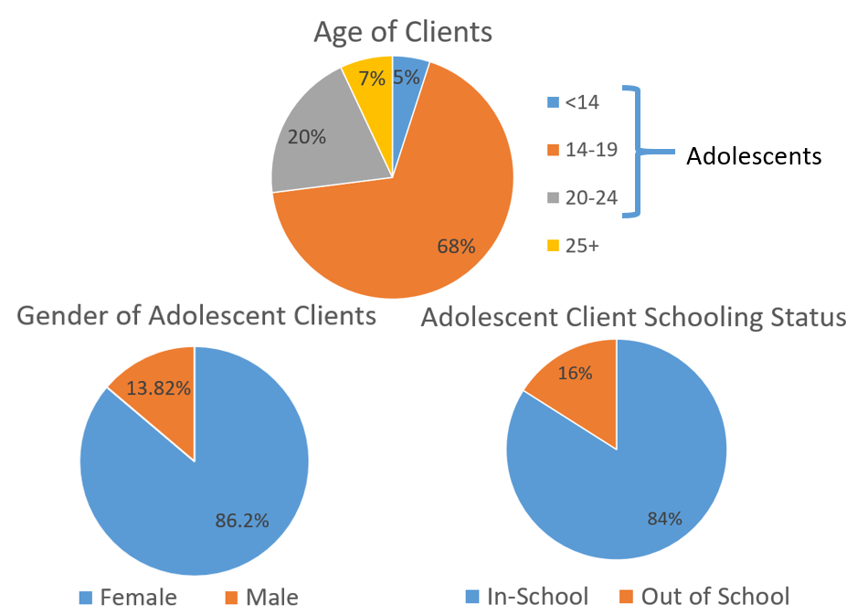 Three pie charts are shown. The first depicts the age of clients, the second depicts the gender of adolescent clients, and the third depicts adolescent client schooling status.